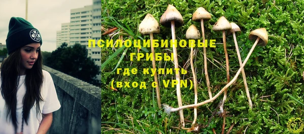 прущие грибы Алексин
