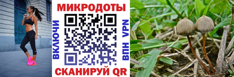 Галлюциногенные грибы ЛСД  хочу   Салехард 