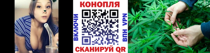 Бошки Шишки гибрид Салехард
